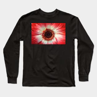 a red beauty Long Sleeve T-Shirt